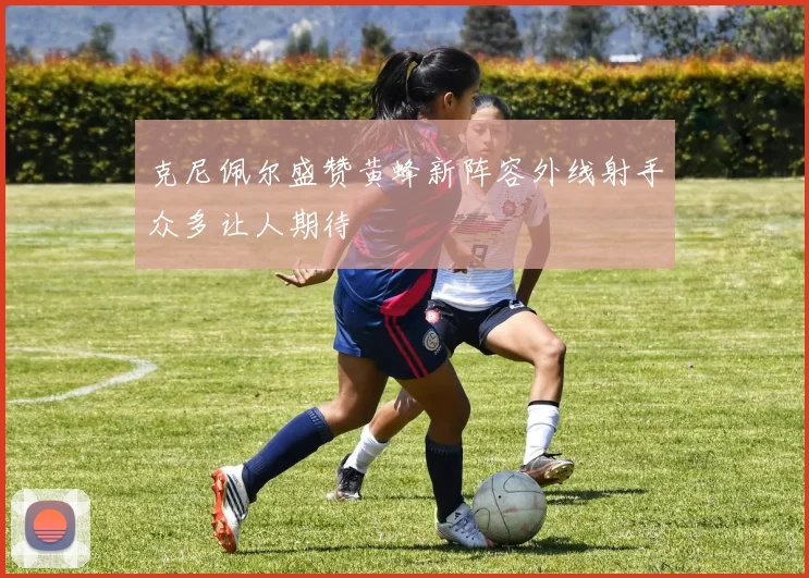 克尼佩尔盛赞黄蜂新阵容外线射手众多让人期待